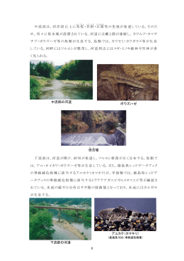 中流部は，河岸段丘上に 角坂・ 芥附・ 広岡等の里地が発達して