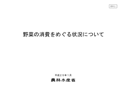野菜の消費をめぐる状況について（資料2）（PDF：751KB）