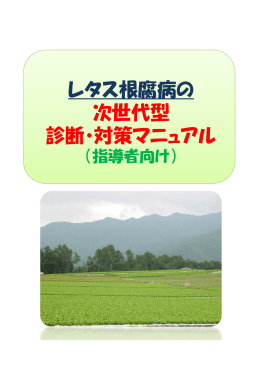 レタス根腐病（長野県の事例）