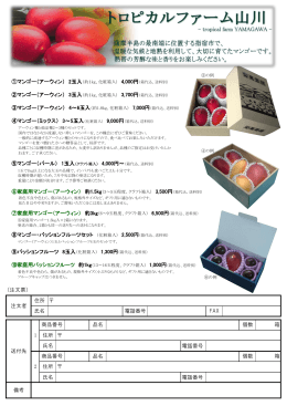 ①マンゴー（アーウィン） 2玉入（約1kg、化粧箱入） 4,000円（箱代込