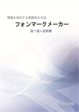 1 - Voiceye Code