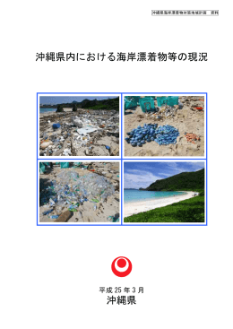 沖縄県内における海岸漂着物等の現況【本編】（PDF：3774KB）