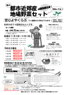 都市近郊産 地場野菜セット