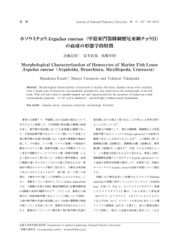 ホソウミチョウArgulus caecus（甲殻亜門顎脚綱鰓尾亜綱チョウ目） の