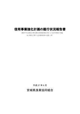 信用事業強化計画の履行状況報告書 平成27年6月