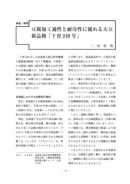 豆腐加工適性と耐冷性に優れる大豆 新品種「十育 249 号」