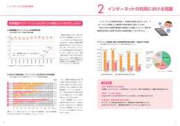 2 インターネットの利用における問題