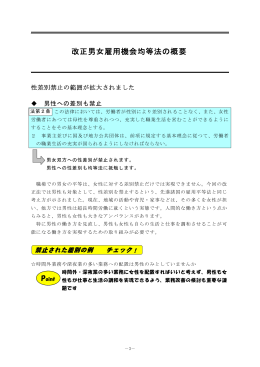 改正男女雇用機会均等法の概要（PDFファイル