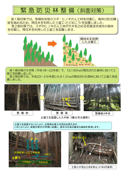 緊急防災林整備（PDF：3957KB）