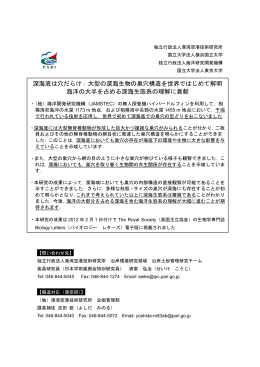 PDF/363KB - 港湾空港技術研究所