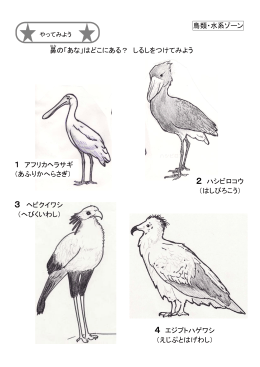 16.鳥の鼻のあな(4)（PDF：587KB）