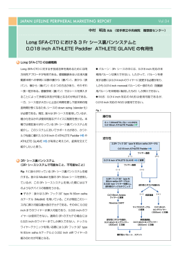 Long SFA-CTO における 3 Fr シース裏パンシステムと 0.018 inch