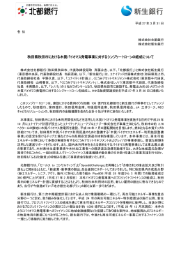 秋田県秋田市における木質バイオマス発電事業に対する