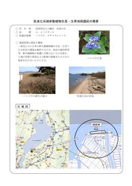 佐波江浜湖岸動植物生息・生育地保護区の概要