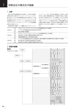 I 保険会社の概況及び組織