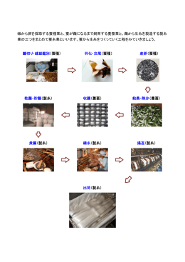 蛾から卵を採取する蚕種業と、蚕が繭になるまで飼育する養蚕業と、繭