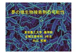 夢の微生物接着剤の可能性 （PDF:1321KB）