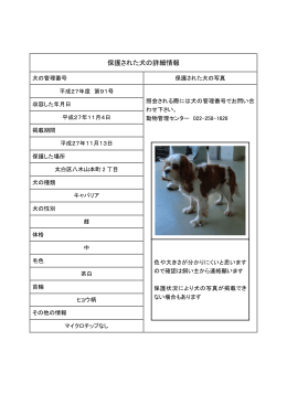 保護犬第91号 (PDF:102KB)