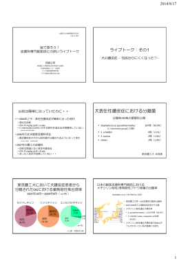 犬表在性膿皮症における分離菌