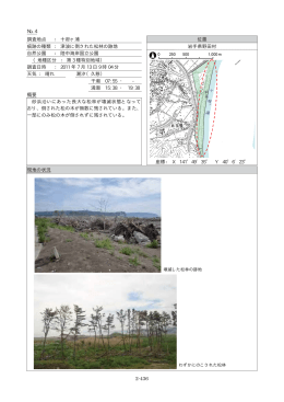 十府ヶ浦 位置 痕跡の種類 ： 津波に倒された松林の跡地 岩手県野田村 自
