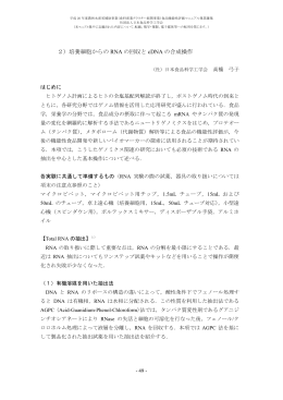 2）培養細胞からの RNA の回収と cDNA の合成操作
