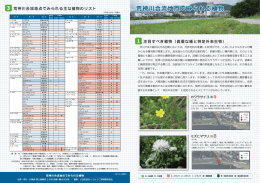 荒神川合流地点でみられる植物