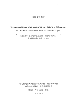 2．乙7082 小野 靖之 主論文の要旨