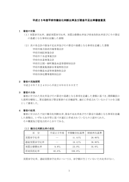 平成25年度甲府市健全化判断比率及び資金不足比率審査意見