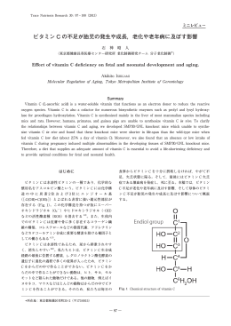 ビタミン C の不足が胎児の発生や成長，老化や老年病に及ぼす影響