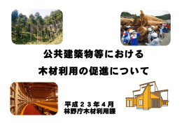 公共建築物等における木材利用の促進について （PDF：5752KB）