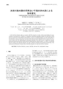 太田川放水路の河岸沿い干潟の洪水流による形状変化,河川 - C