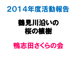 鶴見川沿いの 桜の植樹 鴨志田さくらの会 2014年度活動報告
