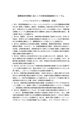 国際森林年開幕にあたっての第9回国連森林フォーラム ハイレベル