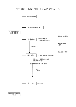 株式会社の新設分割スケジュール