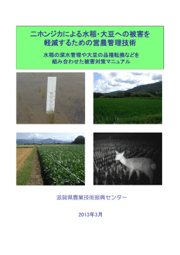 二ホンジカによる水稲・大豆への被害を 軽減するための営農