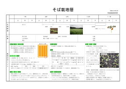 そば栽培暦について（PDF：778KB）