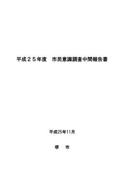 平成25年度市民意識調査中間報告書（PDF：694KB）