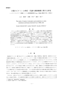 小腸のビタミンA吸収・代謝の調節機構に関する研究