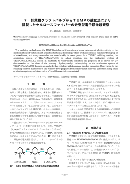 7 針葉樹クラフトパルプからTEMPO酸化法により 調製したセルロース