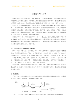 水酸化マグネシウム - BSI生物科学研究所