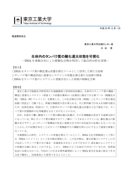 生体内のタンパク質の酸化還元状態を可視化