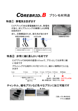 ブラシ毛材用途 - 三菱レイヨン