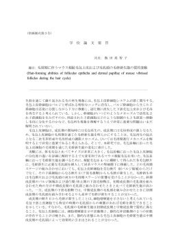 毛周期に伴うマウス頬髭毛包上皮および毛乳頭の毛幹新生能の質的変動