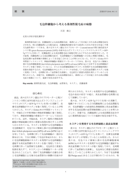 毛包幹細胞から考える薬剤性脱毛症の病態