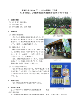 横浜町毛まめのブランド化を目指した取組