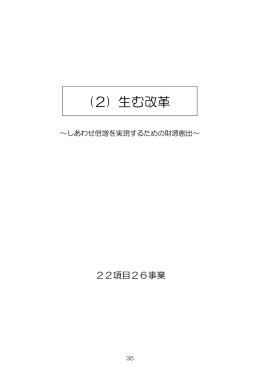 行革プラン2013_分割版4（生む改革）（PDF形式：642KB）