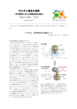 F 1 -ATPase： 非対称性の生む散逸ルール