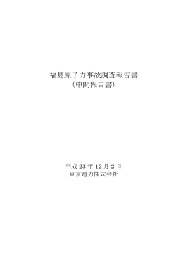 福島原子力事故調査報告書（中間報告書） 本編（PDF 2.68MB）