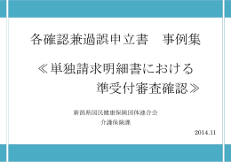 単独請求明細書における準受付審査確認