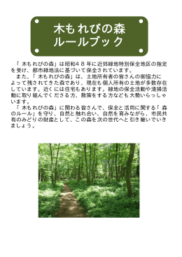 木もれびの森ルールブック（PDF版）
